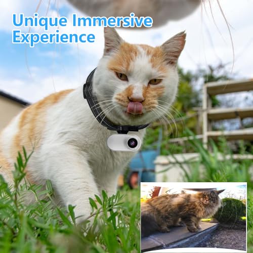 Cam4Cat™
